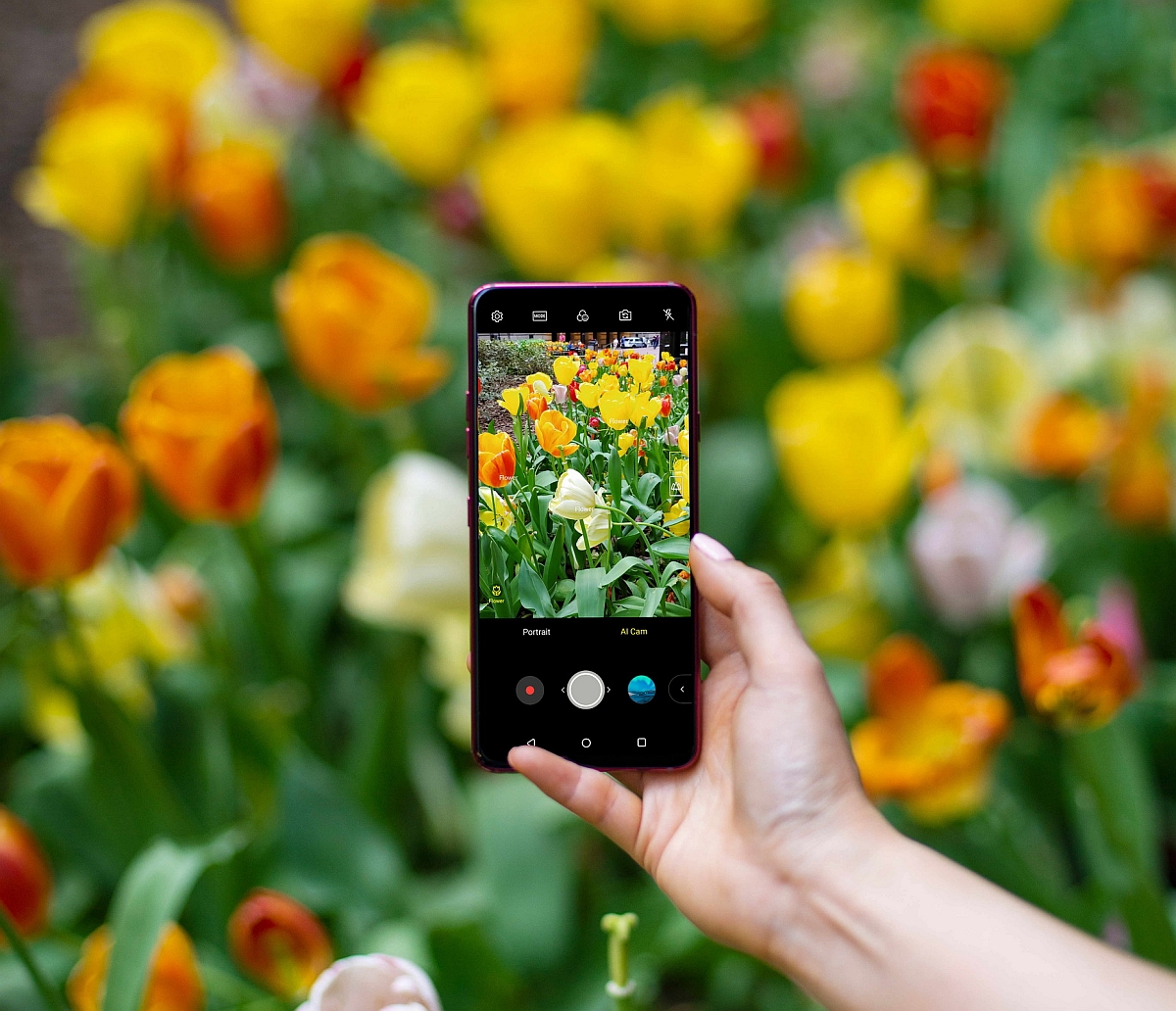 LG G7 in Action 04