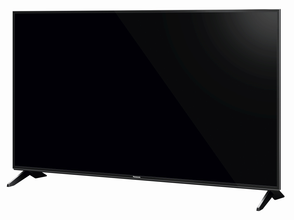 Panasonic FX600