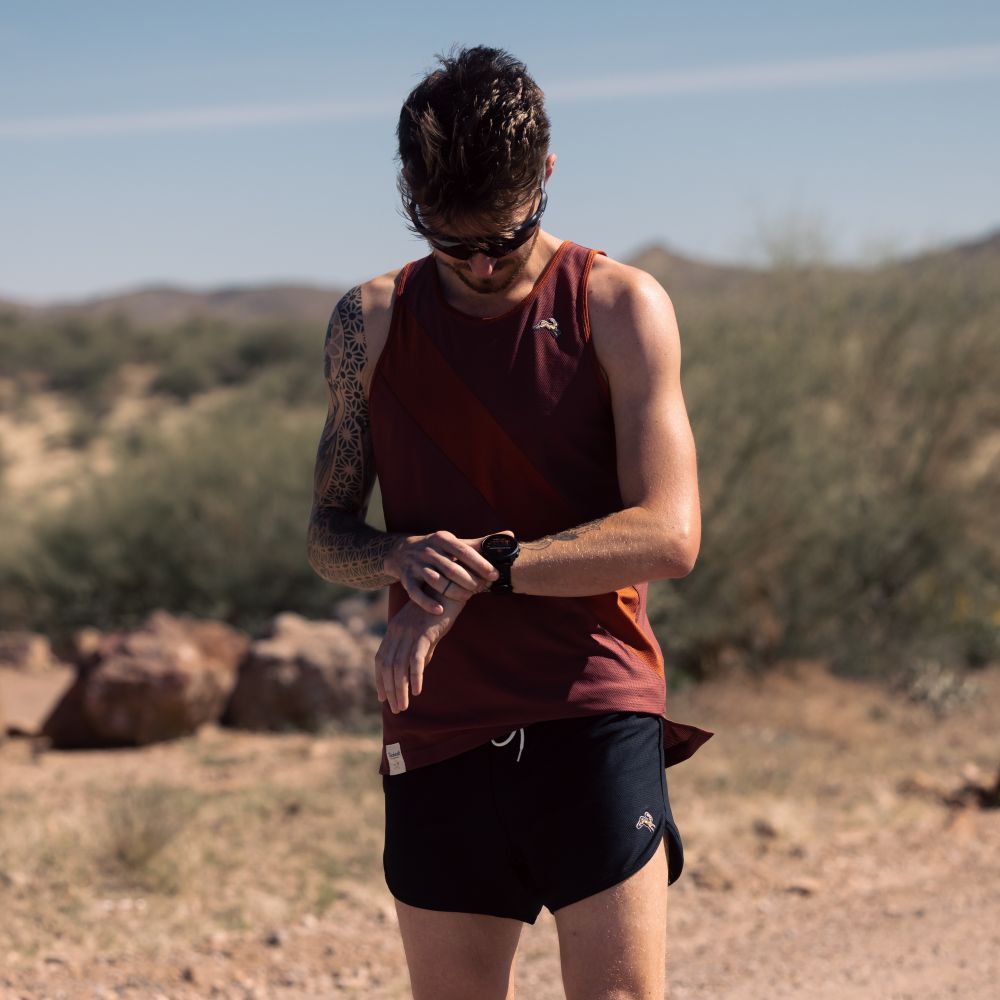 Garmin_955