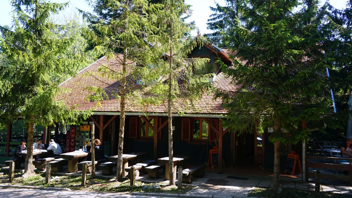 HSM ljetni kamp za nadarenu djecu HSM ljetni kamp za nadarenu djecu