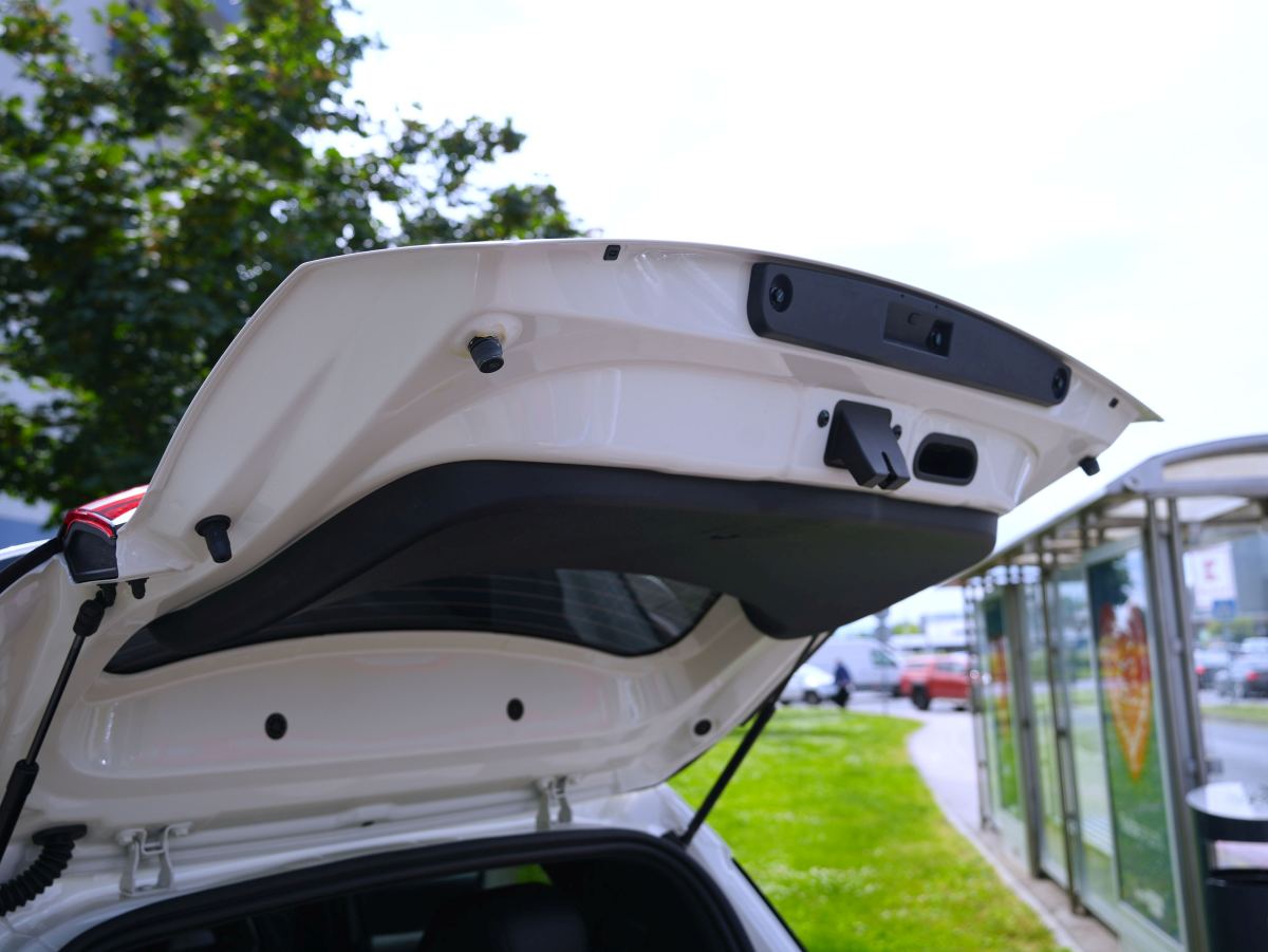 BYD Dolphin Surf