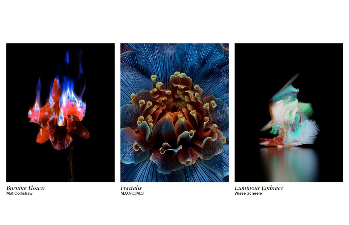 LG-Gallery-3Art